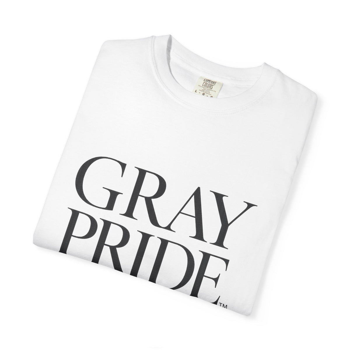 Gray Pride T-Shirt